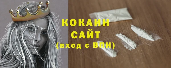 кокс Вяземский