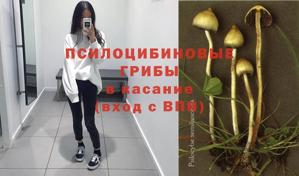 а пвп мука Вязьма