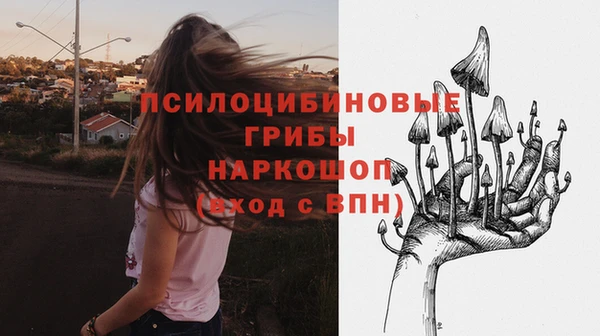 кокс Вяземский